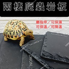 【閃電聯盟】爬蟲岩板 陸龜岩板 岩板 爬蟲石板 磨甲石板 磨指甲 食盤 保濕 保溫 降溫 食盤 爬蟲 烏龜 陸龜 蜥蜴, 1個, 長方型 M號-(30×15cm)