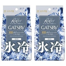 갸스비 바디 페이퍼 아이스 30개입, 2개
