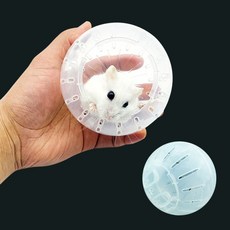 중국OEM 햄스터 헬스 쳇바퀴 장난감 교회 리스 조립 화이트 놀이터 운동, 햄스터볼10cm