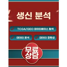 비즈발/일반/문발/현관발/창문발/현관문발/인테리어