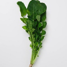 국내산 열무 어린열무 백씨네 농산물, 1개, 4kg