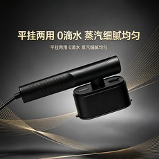 新款手持旋轉掛燙機便攜式熨燙機大功率強勁蒸汽電熨斗熨燙機, 黑色:歐規
