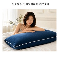 WHH 대형 등쿠션 등받이쿠션 사계절 바디필로우 커버+솜 포함, 블루 블루