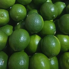 영양이 가득한 멕시코산 건강 과일 상큼하고 신맛이 강한 라임 중과 10과-디저트 요리 칵테일재료