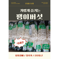 국내산 팽이버섯 / 신선채소 / 찌개 전골용, 1개, 벌크2kg