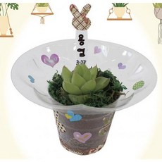 다육이 화분 만들기 DIY 키트 식목일 식물 키우기 재배 10개 세트 학교 유치원 교구, 단품
