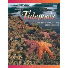 (영문도서) The Secrets of Tidepools: The Bright World of the Rocky Shoreline Paperback, London Town Press, English, 9780976613466