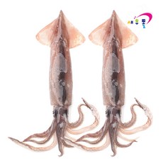 새우몰 선동 오징어 2-3미 원양산 선동 채낚기, 2-3미(500-600g), 1개