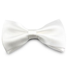아동용 단체 행사 선물용 돌잔치 크리스마스 보타이 나비넥타이 화이트 하얀색_RV990