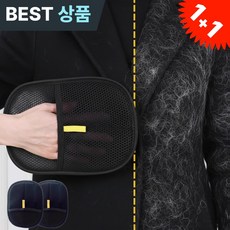 하루투데이 강아지 고양이 털제거 장갑 소파 카펫 청소 브러시, 2개, 시크 블랙