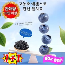 500g+500g 화과차 야생 블루 매실 베이킹 특급 말린 과일 화과차 오리지널 무설탕 블루베리 말린 과일, 200g