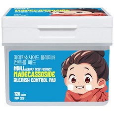 앤딜 마데카소사이드 속 건조 보습 수분 진정 대용량 토너 거즈 비건 패드 (120매), 1개, 120매입