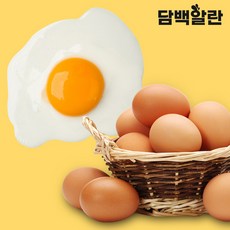 담백알란 무항생제 1+등급란 20구, 1개