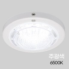 욕실등 원형 LED 비상 센서등 주광 12W, 본상품