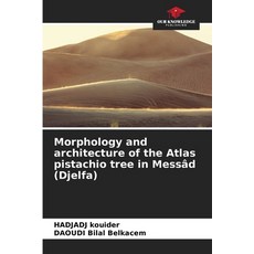 (영문도서)Morphology and architecture of the Atlas pistachio tree in Messâd (Djelfa) Paperback, Our Knowledge Publishing, English, 9786209106460