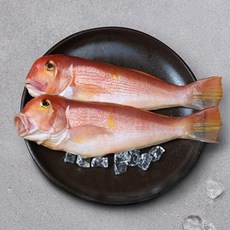 기타 T_[안동수산] 제주 통옥돔 (미당 140g~150g), 6개, 140g