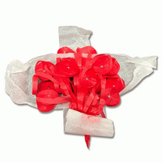 [국내생산] JL매직 화약없는 종이폭죽 빅사이즈 레드 1개입 생일파티 파자마파티 줄폭죽 빅가부키, 1개