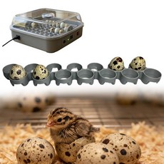 메추라기 알 부화 트레이는 Maticoopx 인큐베이터 M20/M30 모델과 호환 11홀 및 14홀 옵션 (M20), M30