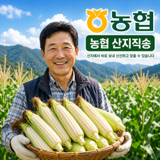 [딱10일간초특가] 농협직송 특품 괴산미백찰옥수수 산지직송, 1개, 20개