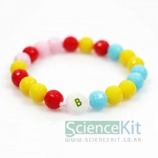 (SC) DNA팔찌(불투명)(4인용)_20260101EA