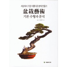 盆栽藝術 基本樹型與分析, 柳樹媒體