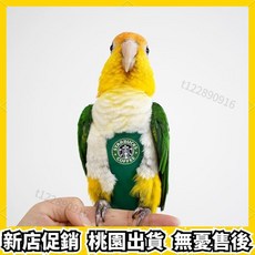 第五代鸚鵡鳥用尿不濕衣服屎兜尿褲飛行服, 第五代順風款,其他體型咨詢客服, 1個