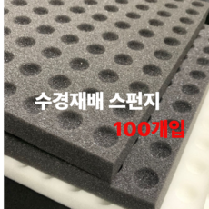 [리리즈] 수경재배스펀지 블랙 재배스티로폼 씨앗발아 종자발아용 100개, 1세트