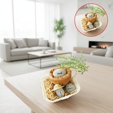 마리모친구 반려돌 키우기세트 애완석 돌멩이 펫스톤, 1개, DSAM 2.행복이