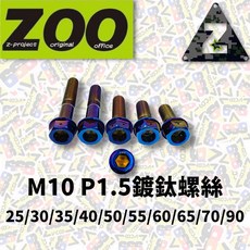 ZOO M10 P1.5 各尺寸鍍鈦螺絲 燒鈦螺絲 白鐵不鏽鋼 白鐵螺絲 鍍鈦【耕田激坊】, 1個, M10x30mm P1.5 鍍鈦, M10x30mm P1.5, 30mm