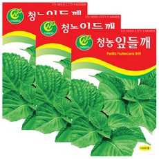 세인화분 잎들깨 1400립, 3개