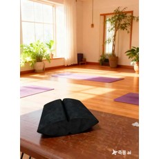 요가 클라우드 스윙 힙업 허리 복부 다리 근력 균형 트레이너