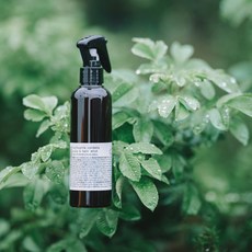 유안재 어성초 두피케어 스프레이 200g, 1개, 200ml