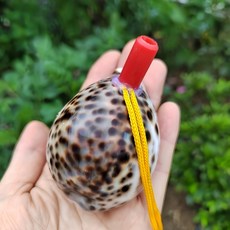 나각 뿔나팔 대형 뿔피리 소라 껍데기 호루라기 뱃고동, 9-10cm표범수