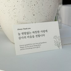 포장카드 카네이션카드 엽서 손편지 꽃다발카드, 30개, 아이보리