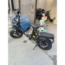 G-Force 越野胖胎 800W電機【全省保固免掛牌】電動腳踏車 電動自行車 折疊腳踏車, 1個, 越野胎-30AH續航約80-100公里