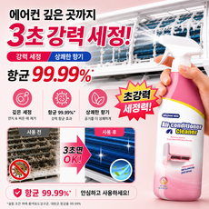 에어컨 곰팡이 제거제 냄새 제거 거품 세정제 500ml, 1개, 500g