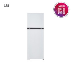 (LG전자) 일반냉장고 2도어 335L (화이트/B332W34)