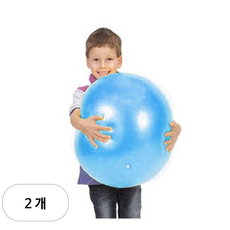 [짐닉] 소피볼 블루, 2개