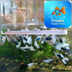 브라인급여기 SL형 (총길이 18cm 브라인쉬림프 헤더 길이 21cm 구피 안시 코리급여기)