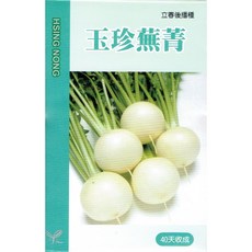 興農種苗 玉珍蕪菁 種子 適合全年種植 口感清脆爽口 約40天收成, 1個