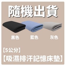 大老婆寢具 記憶床墊，厚度5/8公分，鳥眼網布，MIT台灣製造