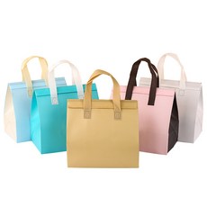 일회용보냉백 보냉가방 테이크아웃 은박 손잡이 미니 보온, 소형, 100개, 국가 트렌드 A