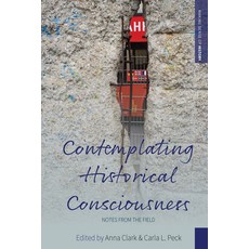 Contemplating Historical Consciousness: Notes from the Field Paperback, Berghahn Books, English, 9781789208375