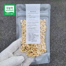 국내산 태기산잣 2-3번잣 황잣 백잣 [산지직송 견과류], 2-3번잣 40g(백잣), 1개