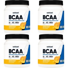 뉴트리코스트 고흡수 BCAA 파우더 오렌지망고, 4개