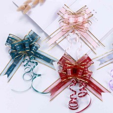 리본장식 선물, 스카이(b)