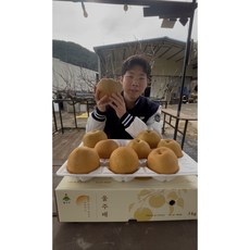 명품 울주배 선물세트 제수용 가정용, 12개, 7.5kg 특 선물용 인기! <특가>