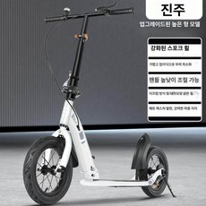 더즐리 수동킥보드 클래식 접이식 수동 성인 킥보드, 1개, 1cm, 펄 높이형