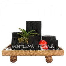 숯부작 (SH0174)[꽃배달서비스/축하화분/개업화분], 1개