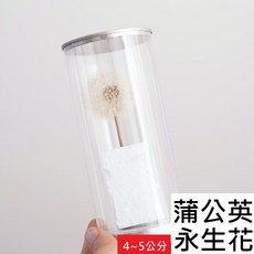 蒲公英永生花 仿真花 拍照裝飾, 白色